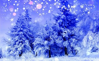 Обои winter, лес, пейзаж, snow, деревья, зима, мороз, снег, frost, blue, холод, wood, синий, природа, tree, голубой