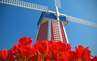 Картинка Нидерланды, небо, ветряная мельница, цветы, тюльпаны