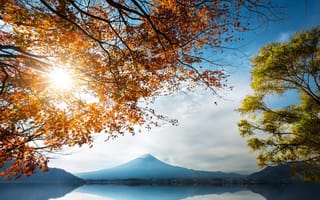 Картинка осень, озеро, листья, берег, горы, деревья, ветки, лучи солнца
