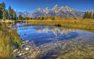 Картинка Grand Teton, США, ручей, трава, Национальный парк, деревья, осень, камни, дно, горы