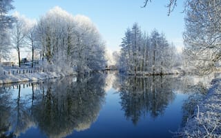 Картинка лес, река, небо, снег, зима