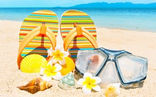Картинка vacation, summer, цветы, seashells, песок, лето, сланцы, ракушки, accessories, sand, beach, пляж