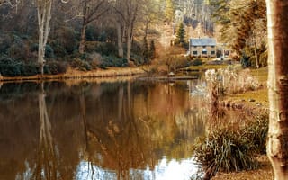 Картинка озеро, дом, отражение, деревья, зеркало, утки