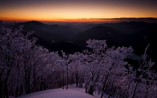 Картинка япония, зима, рассвет, снег, горы, небо, сумерки, деревья, высота, japan
