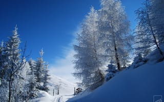Картинка природа, зима, снег, лес