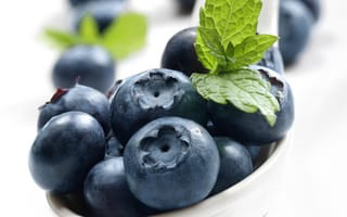 Обои blueberry, berries, fresh, голубика, ягоды