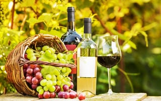 Картинка стол, бокал, бутылки, сад, зелень, корзина, виноград, вино