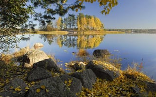 Картинка осень, озеро, деревья