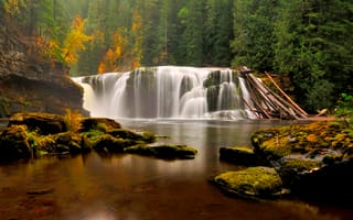 Картинка США, водопад, Вашингтон, осень, лес, мох, камни, деревья