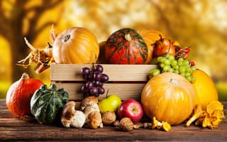 Обои autumn, vegetables, тыква, урожай, осень, pumpkin, натюрморт, still life, овощи, harvest
