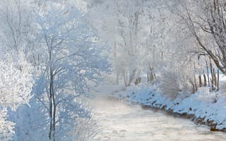 Картинка зима, снег, Австрия, река, Зальцах, деревь