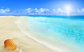 Картинка seashells, blue, summer, shore, paradise, beach, sea, sand, берег, песок, ракушки, море, пляж, starfish