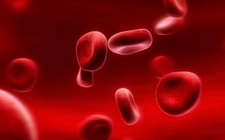 Картинка кровяные тельца, эритроциты, красный, кровь, макро