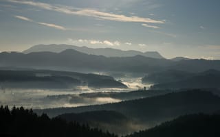 Обои утро, долина, горы, туман, лес