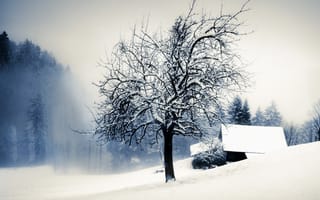 Картинка зима, снег, дом, дерево