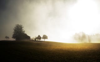 Картинка солнечные лучи, утро, деревья, дом, туман, поле