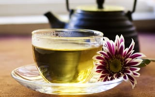Картинка чай, цветок, чайник, чашка, блюдце, зеленый