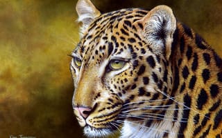 Картинка живопись, Kim Thompson, леопарды