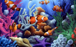 Картинка рыбки, ракушка, под водой, кораллы, морская звезда