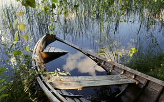Картинка вода, озеро, остов, ветки, дерево, пруд, трава, лодка