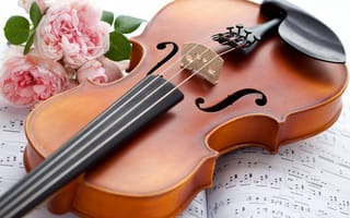 Обои скрипка, цветы, музыкальный инструмент, ноты, розы