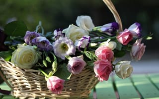 Обои розы, эустома, бутоны, доски, корзинка, © Elena Di Guardo
