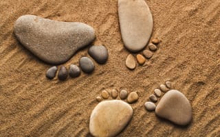 Картинка камни, ноги, галька, песок, камешки, лапки, ступни
