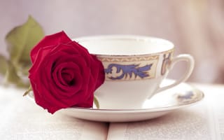 Картинка роза, цветок, чайная пара, кружка, книга, чашка