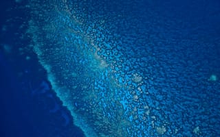 Картинка sea, fine, coral, blue