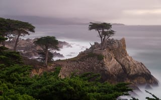 Картинка кипр, деревья, море, скалы