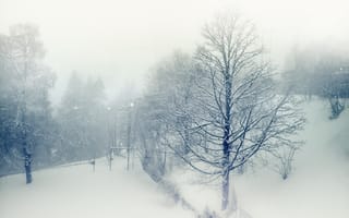 Картинка зима, снег, природа, деревья
