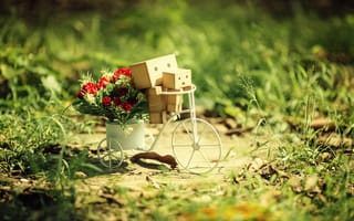Картинка amazon, велосипед, цветы, коробки