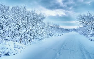 Картинка зима, пейзаж, дорога, снег