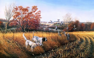 Картинка John S. Eberhardt, утки, охотничьи собаки, собака для охоты на птицу, поле, осень, живопись, собака, Bird Dog Country