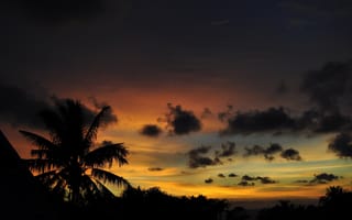 Картинка природа, закат, пейзаж, вечер, солнца, пальмы