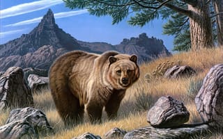 Картинка Paul Krapf, камни, гризли, животные, живопись, Grizzly Country, горы, бурый медведь, grizzly bear, североамериканский, валуны, свирепый