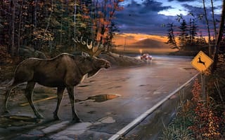 Картинка Ervin Molnar, машина, лось, животные, олень, осень, Deer Crossing, пасмурно, перелетные птицы, живопись, вечер, дорога, лужи, утки, дорожный знак