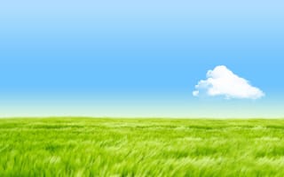 Картинка трава, поле, небо, облако