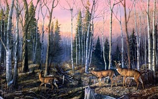Картинка Terry Doughty, пень, Cold November Day, ноябрь, гнездо, олени, береза, животные, осень, ель, живопись, птицы, осенний лес