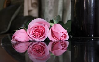 Картинка розы, цветы, отражение, розовые