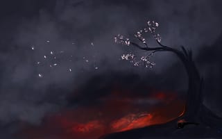 Картинка арт, дым, сакура, дерево, кошка, кот, лава