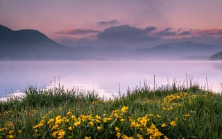 Картинка England, дымка, Pooley Bridge, озеро, цветы, горы, трава