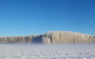 Картинка зима, пейзаж, природа, поле