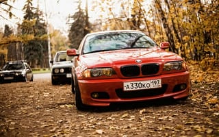 Картинка BMW, e28, осень, e46, лес, листья