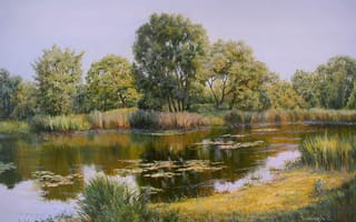 Картинка Картина, Утро на реке, отражение, Олег Комаров, вода, ряска, берег, пейзаж, деревья