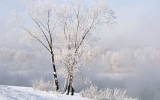 Обои зима, winter, пейзаж, природа, снег
