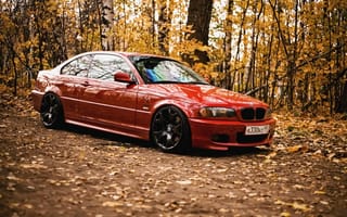 Картинка BMW, e46, лес, красная, осень, листья