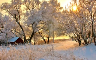Обои зима, деревья, заснеженные, дорога, закат, снег, дом, солнце
