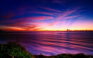 Картинка море, мангровые, листья, облака, берег, закат