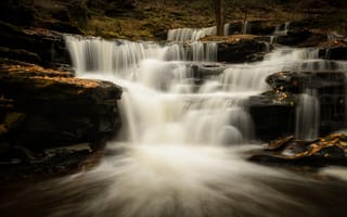 Картинка каскад, Ricketts Glen State Park, осень, водопад, Pennsylvania